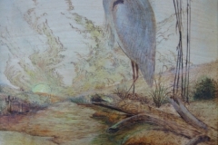 Heron