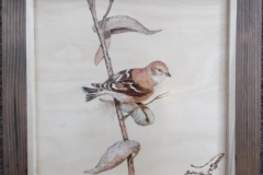 American-Goldfinch