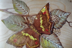 Circropia8