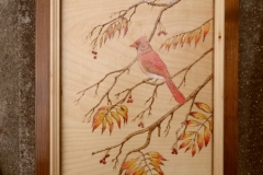 Commission-female-cardinal