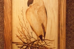 Crowned-Night-Heron