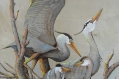 Great-Blue-family-unit