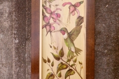 Hummingbird-3