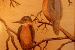 Kingfishers