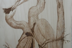 Nest-building-4