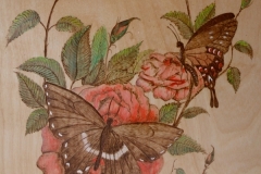 SAM_0805