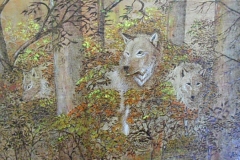 SAM_0954