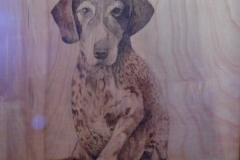SAM_1870