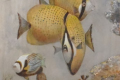 Underwater Congress