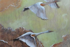 Swans
