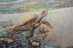 Solitary-Swimmer