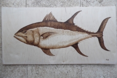 blue-fin-tuna