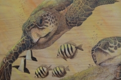 into-the-light-loggerheads