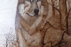 Sentinel