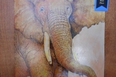 tusker