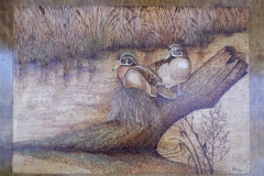 wood-ducks